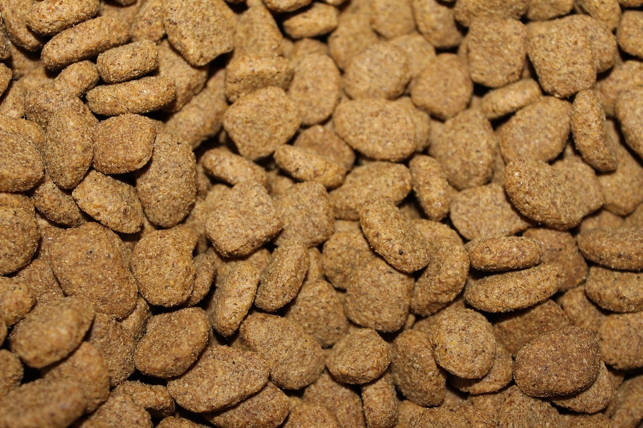 Organic Pet Food and Treats