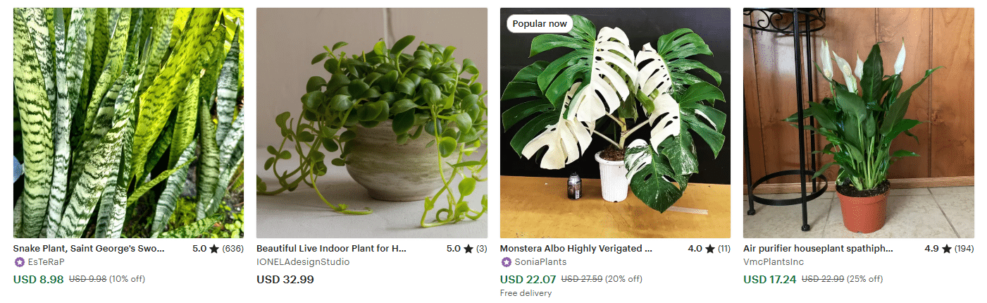 Air-Purifying Indoor Plants