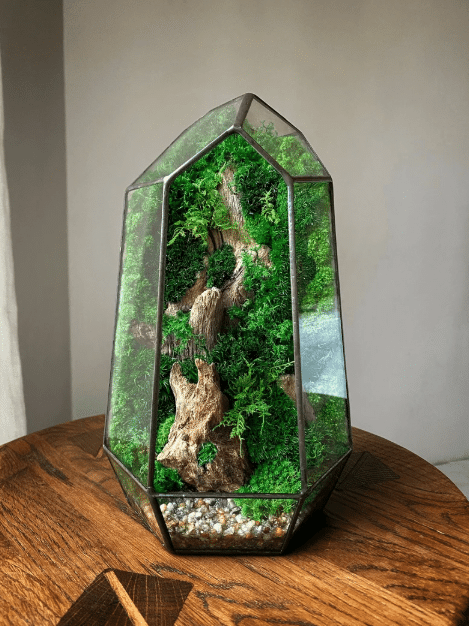 Terrariums